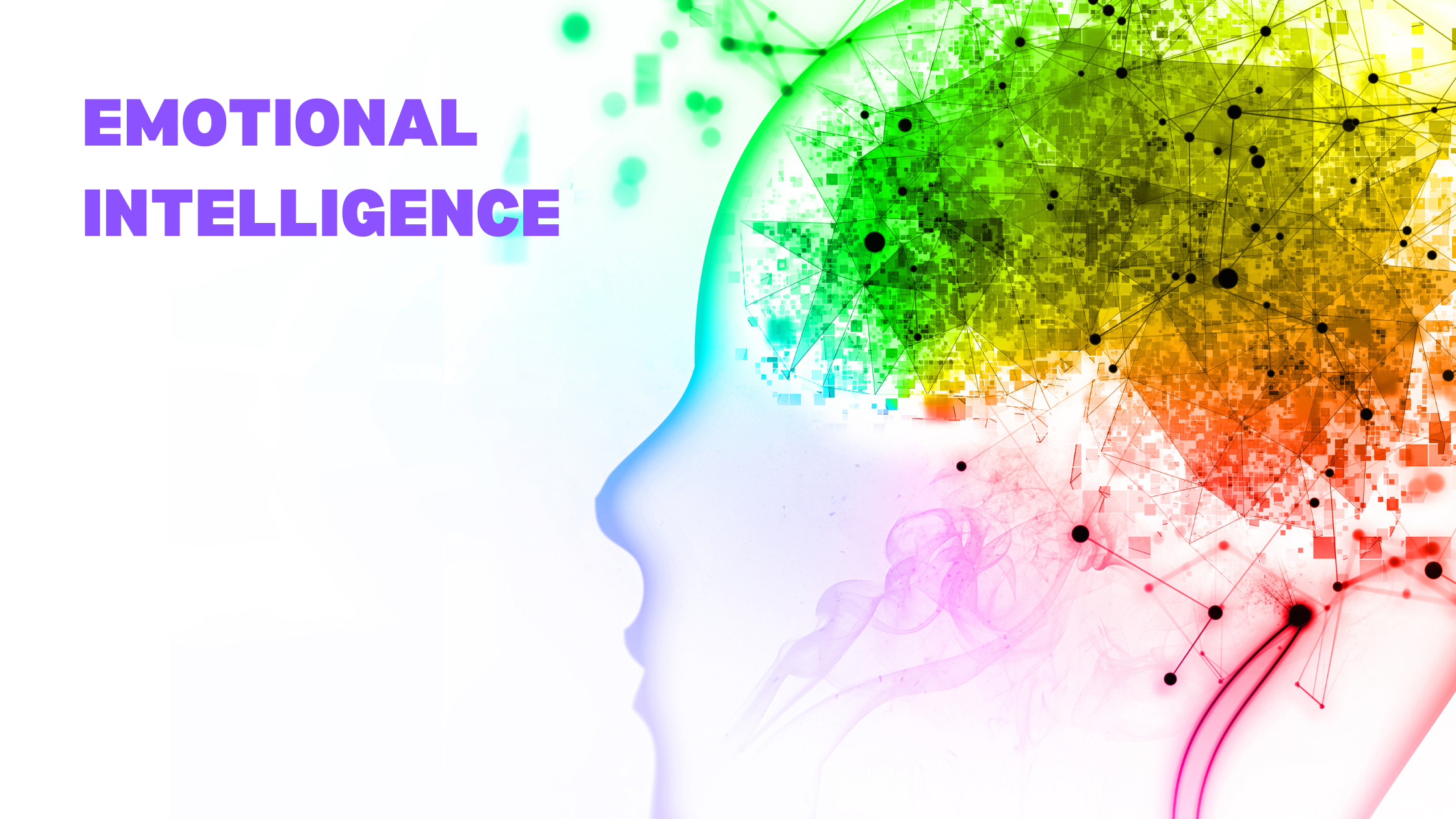 Emotional Intelligence